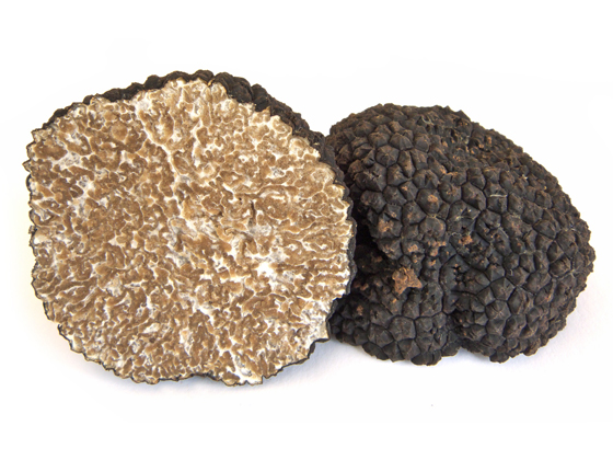 TARTUFO SCORZONE ESTIVO